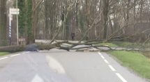 Stormschade