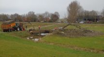 De geliefde populier bij de Sluizerdijk moest plat, Foto Gerrit Slurink