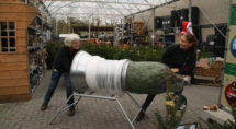 Adie en Marieke van Welkoop Hasselt trekken een net om een kerstboom 