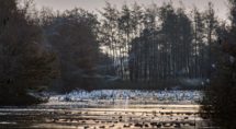 Foto's: Ton Valk