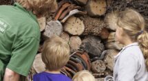 insectenhotel, foto: Landschap Overijssel
