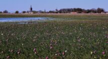Foto's Gerrit Slurink